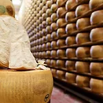 Lambrusco Monolocale Vicino Al Centro Di Universita E Policlinico Апартаменты