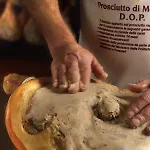 아파트 Lambrusco Monolocale Vicino Al Centro Di Universita E Policlinico