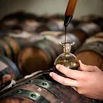 Lambrusco Monolocale Vicino Al Centro Di Universita E Policlinico Апартаменты Модена