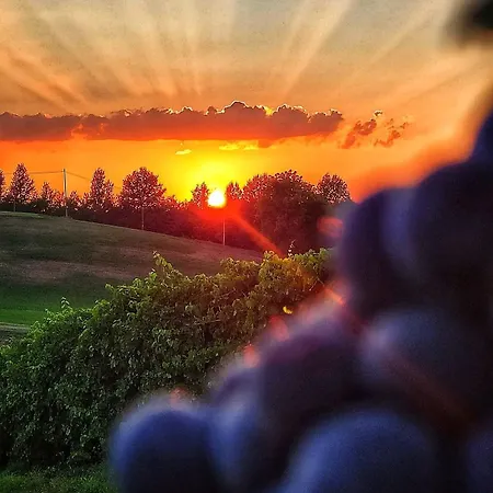 Lambrusco Monolocale Vicino Al Centro Di Universita E Policlinico Lejlighed