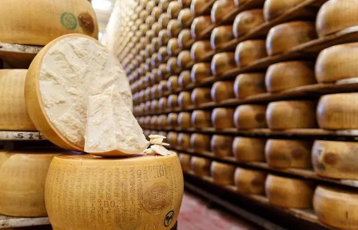 Lambrusco Monolocale Vicino Al Centro Di Universita E Policlinico 公寓