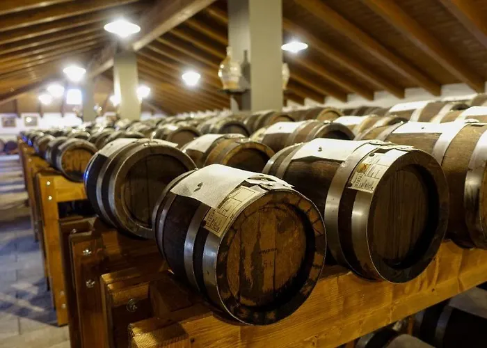 Lambrusco Monolocale Vicino Al Centro Di Universita E Policlinico * 摩德纳