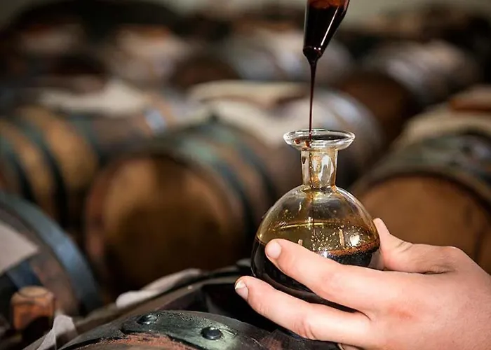 Lambrusco Monolocale Vicino Al Centro Di Universita E Policlinico 公寓 摩德纳