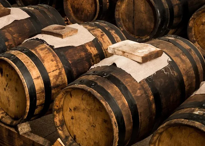 公寓 Lambrusco Monolocale Vicino Al Centro Di Universita E Policlinico