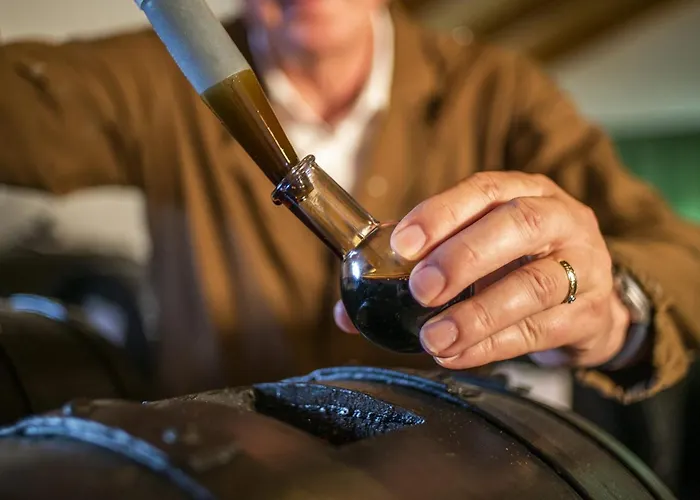Lambrusco Monolocale Vicino Al Centro Di Universita E Policlinico *